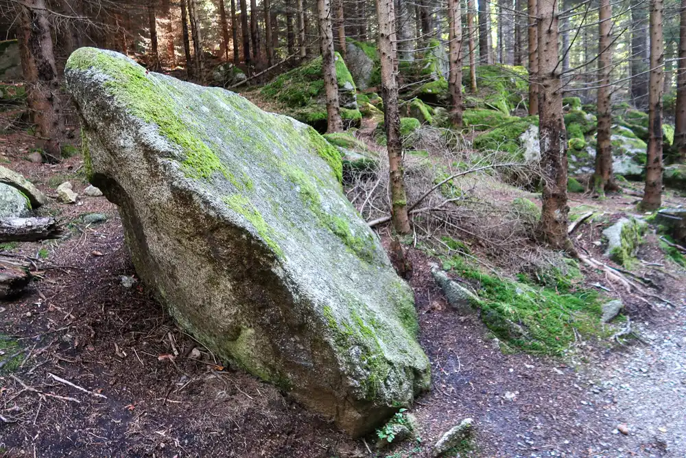 Šumava okolie Vlčej stezky