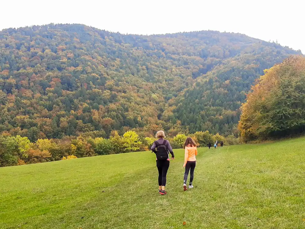 Lúka na náučnom chodníku Vršatec