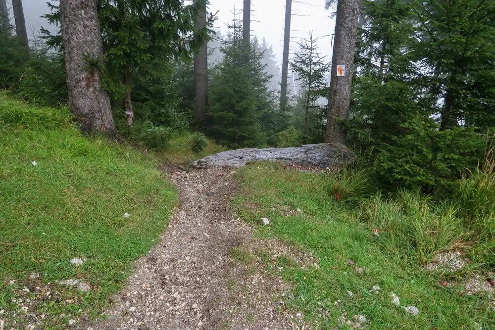 Czarna Gora DH singletrail MTB