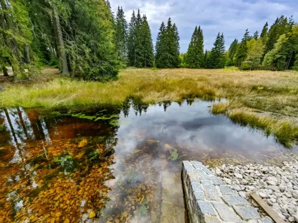 Kladské rašelinište