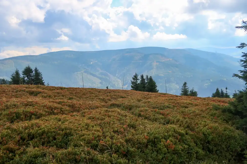 Kralický Snežník vrchol