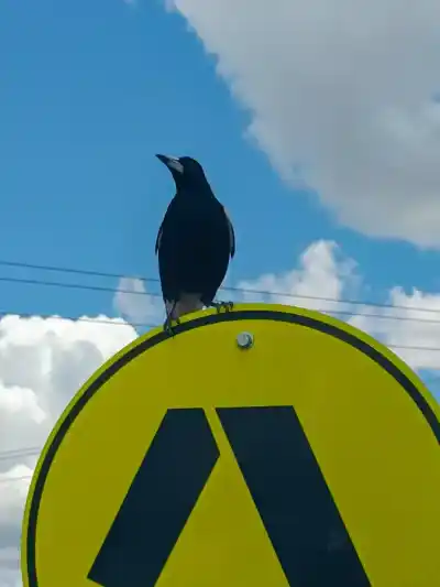 útočník na cyklistu