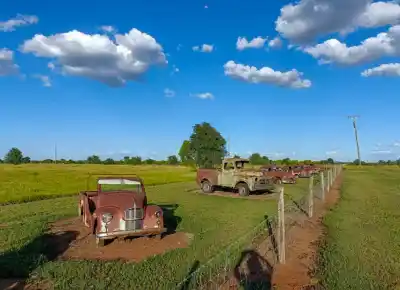 hrdzavých krásavcov mal rád