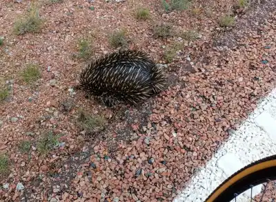 Bicyklom naprieč Austráliou na Clermont Peter Božík