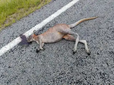 Bicyklom naprieč Austráliou na Clermont Peter Božík