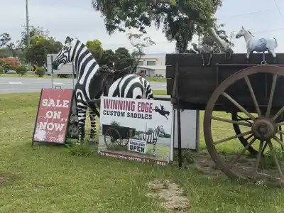 Na Chinchillu cez Miles