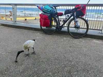 Zvažujem prestávku