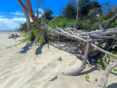 Bicyklom naprie Austráliou Keď zlyháva psychika