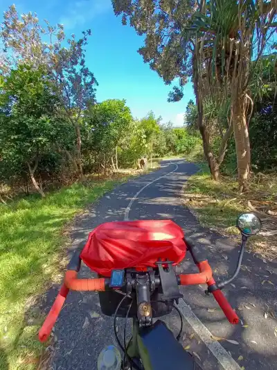 Bicyklom naprieč Austráliou: Popri oceáne s protivetrom