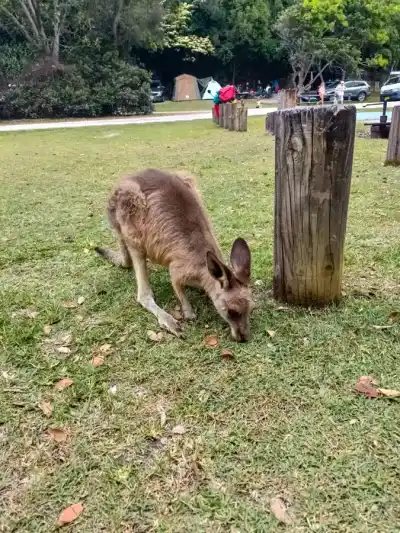 Bicyklom naprieč Austráliou: Popri oceáne s protivetrom