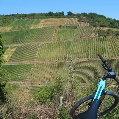 Bingen wine ride, zážitkový cykloraj nad Rýnom