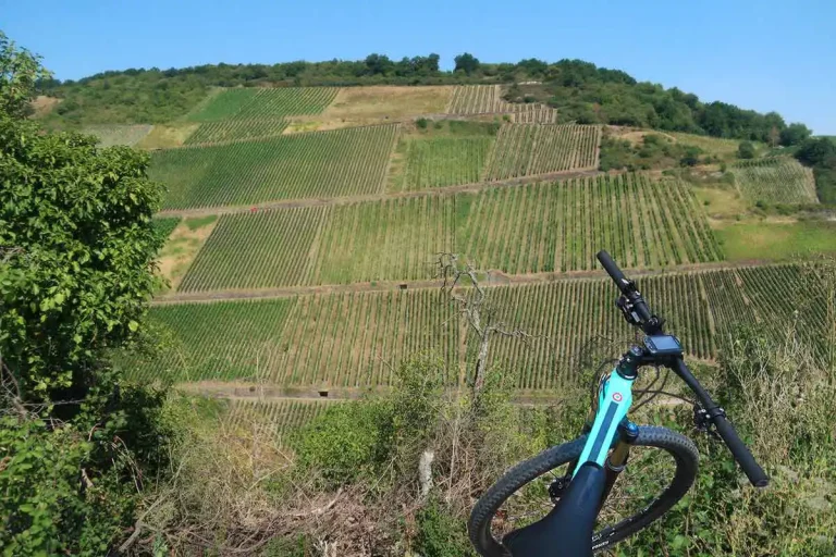 Bingen wine ride, alebo zážitkový cykloraj nad Mohanom