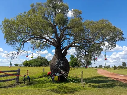 Marry Christmass Australia