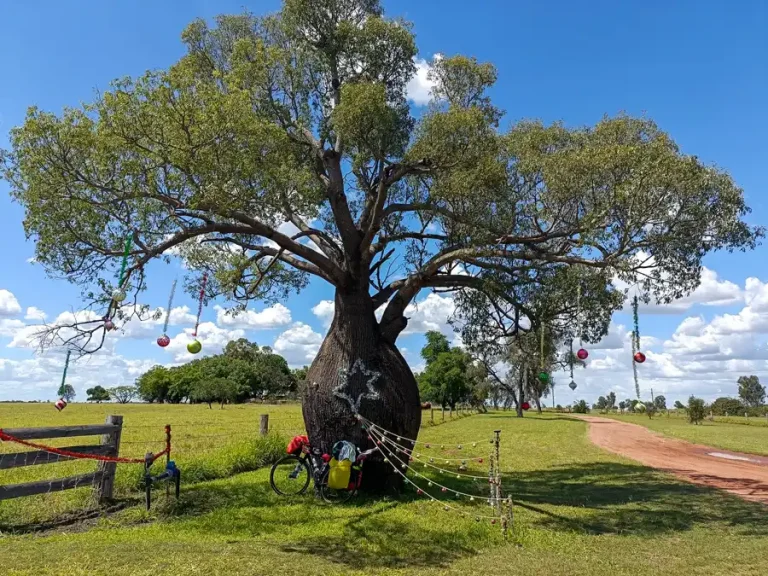 Marry Christmass Australia