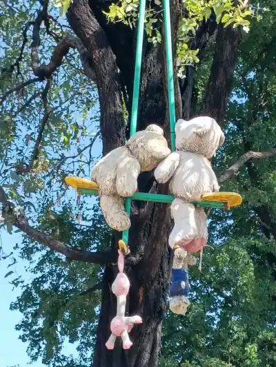 Marry Christmass Australia