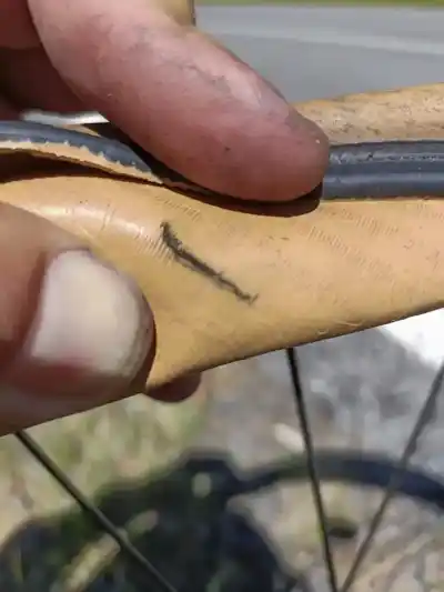 Naprieč Austráliou: na Canada Vale