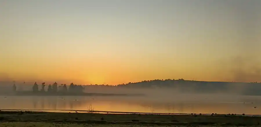 Zasa magický východ slnka. Raymond Terrace, New South Wales.