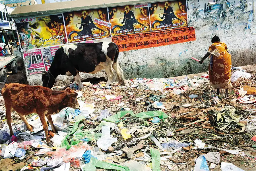 Living India: Recyklácia