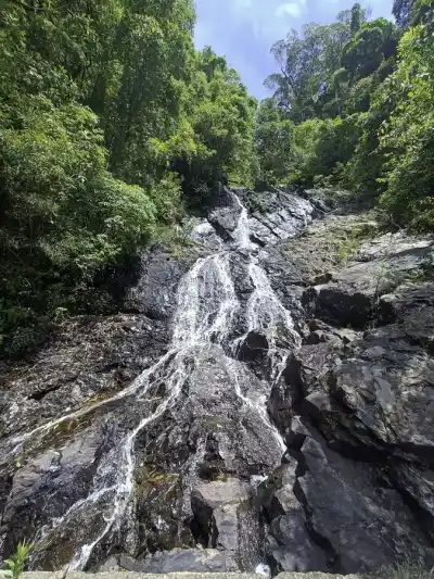Waterfalls Dorrigo
