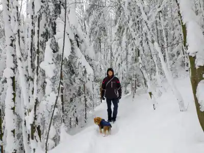Výstup na Budzogáň