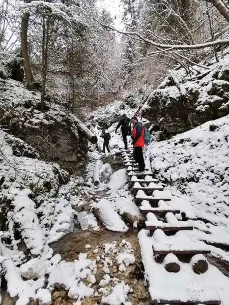 Kláštorná roklina