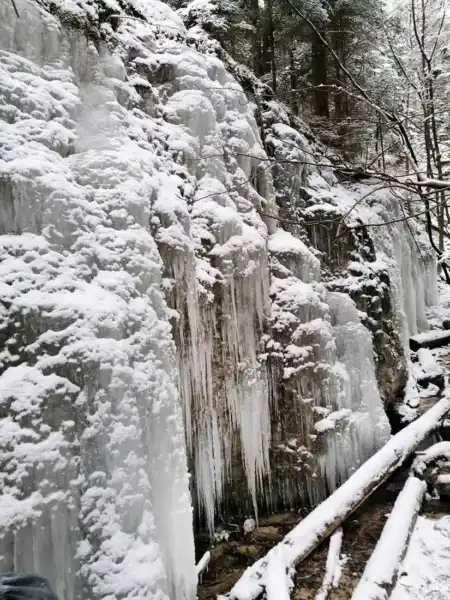 Kláštorná roklina