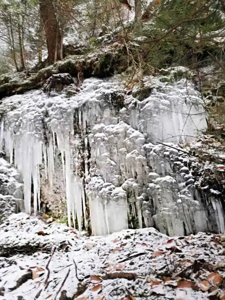 Kláštorná roklina