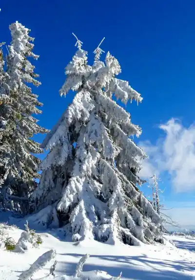 Výstup na Kráľovu hoľu