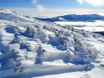 Výstup na Kráľovu hoľu