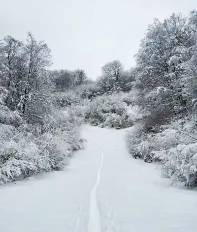Na Skialpoch na Krížnu