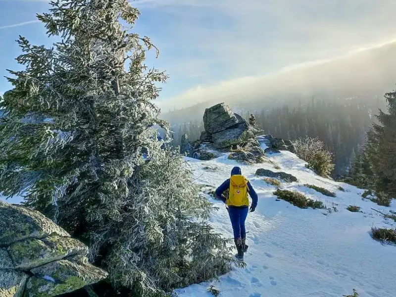 Martalúzka Nízke Tatry