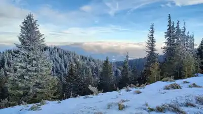 Martalúzka Nízke Tatry
