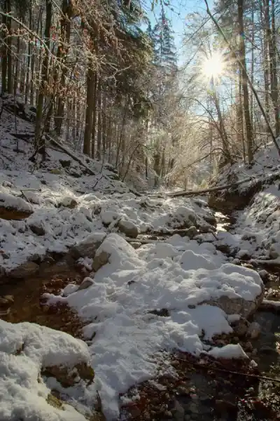 Zimná Tiesňava Čertova dolina