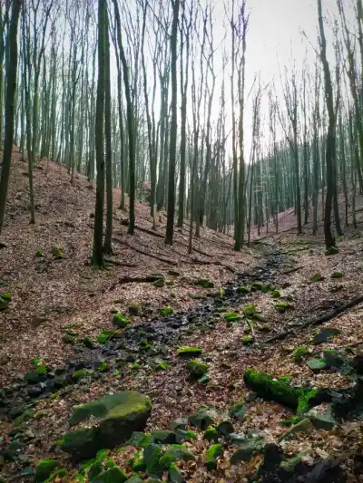 k smerovníku Hajduchy