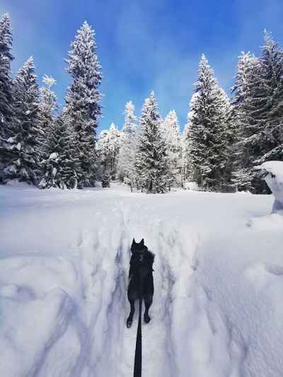 S Moni na Suchý cez Kľačiansku Maguru