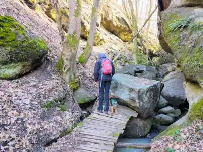 Tesárska roklina túra