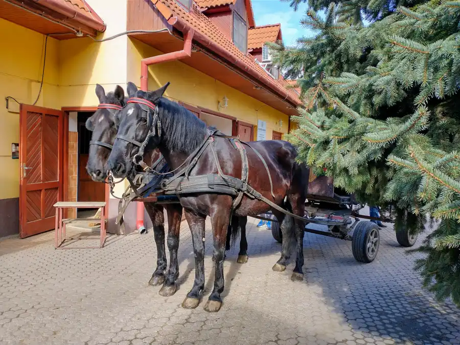 Ranč u Bobiho