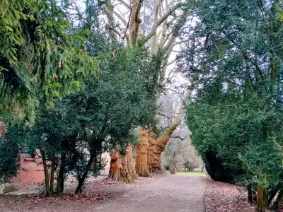 Kaštieľ Topoľčianky záhradný park