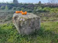 Via Appia na bicykli