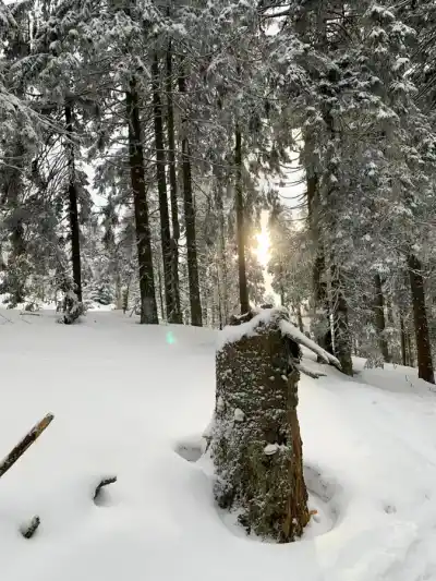 Prechod piatimi hoľami na bežkách