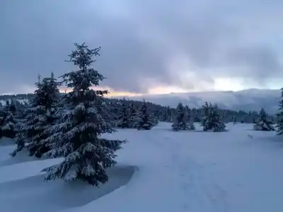 Sedlo Kubínska hoľa