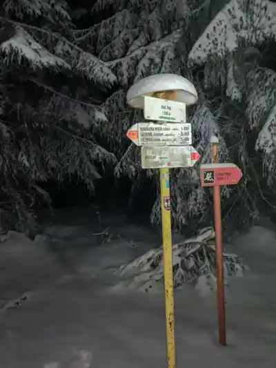 Sedlo Kubínska hoľa