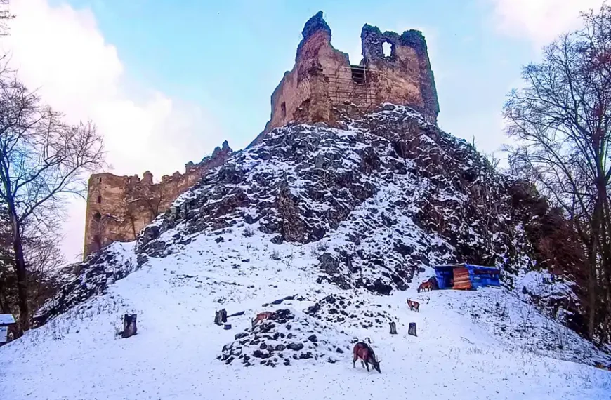 Výlet na hrad Šášov