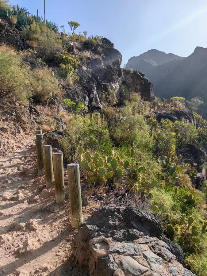 Chodník do rokliny Barranco del Infierno