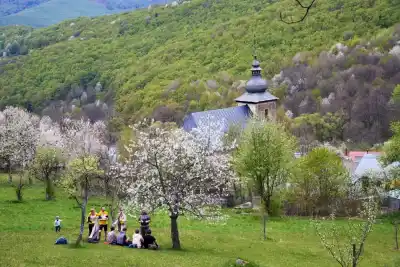 Posedenie pod čerešńou