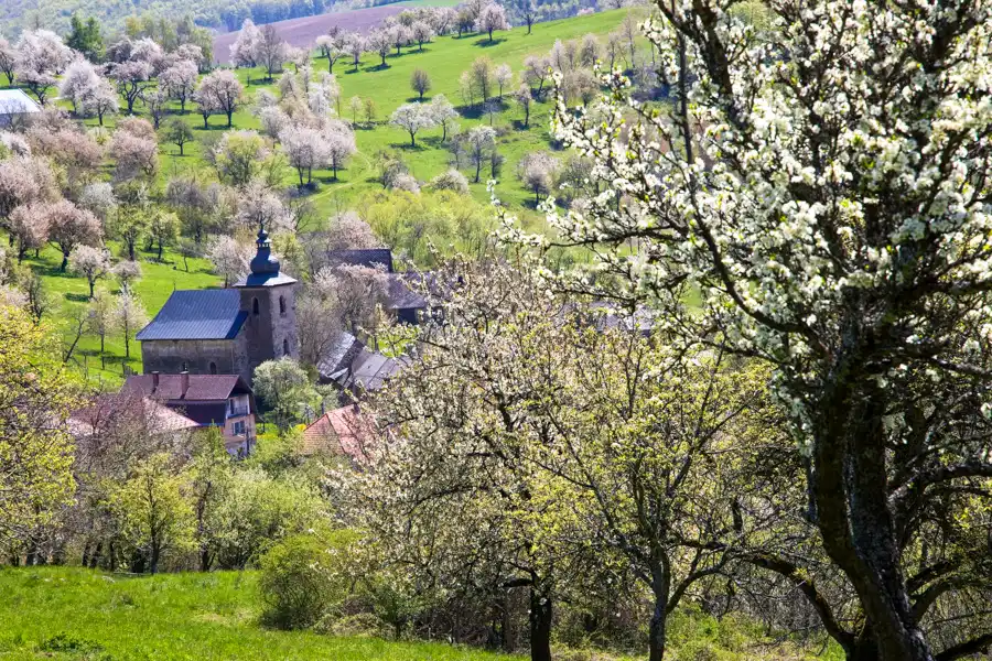 Brdárka pohľad z Radzima