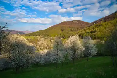 Pohľad na Veľký Radzim
