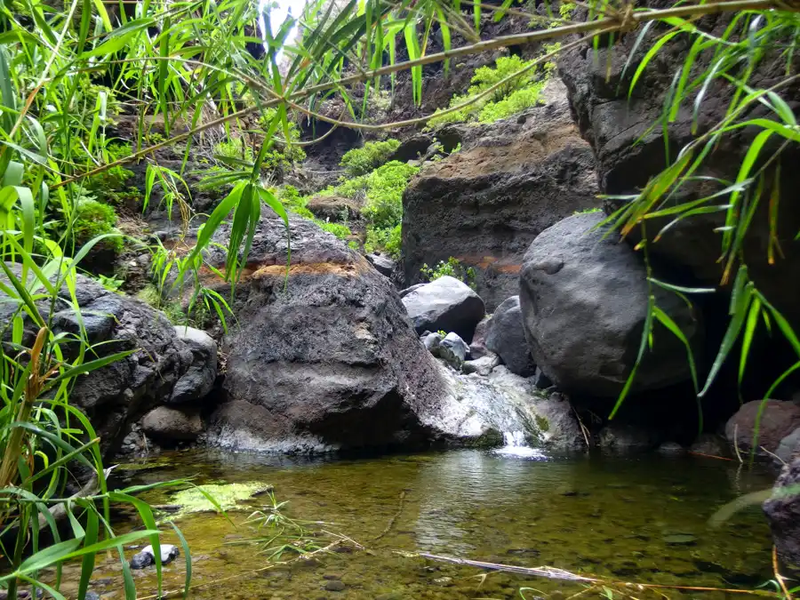 Príroda Barranco del Masca