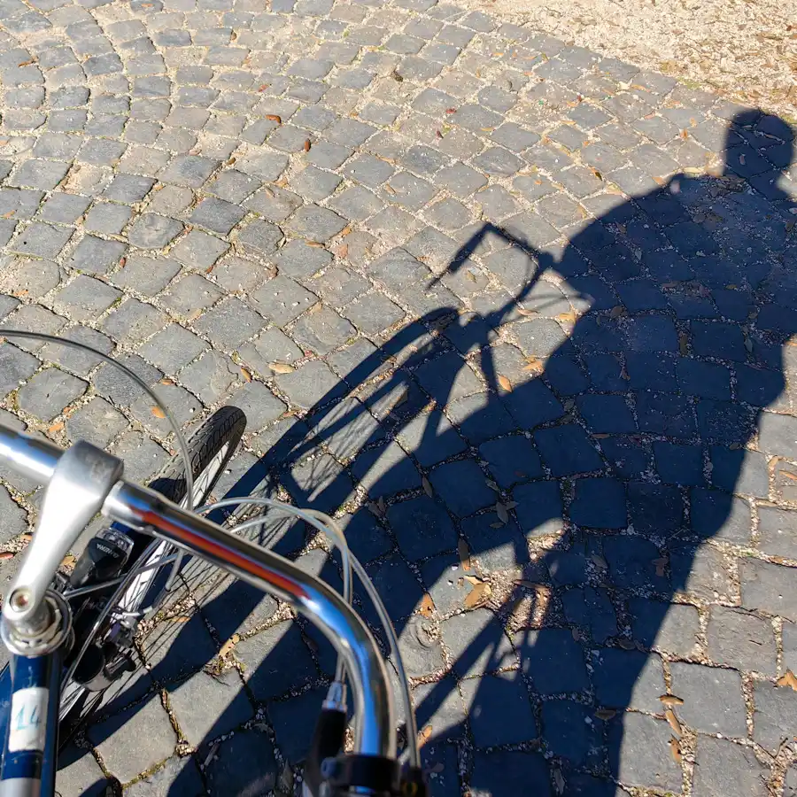 Vatican City Bike Selfie
