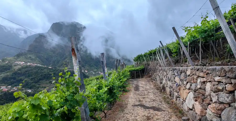 Pohľad na údolie Sao Vincente z Vinohradov Quinta di Barbusano